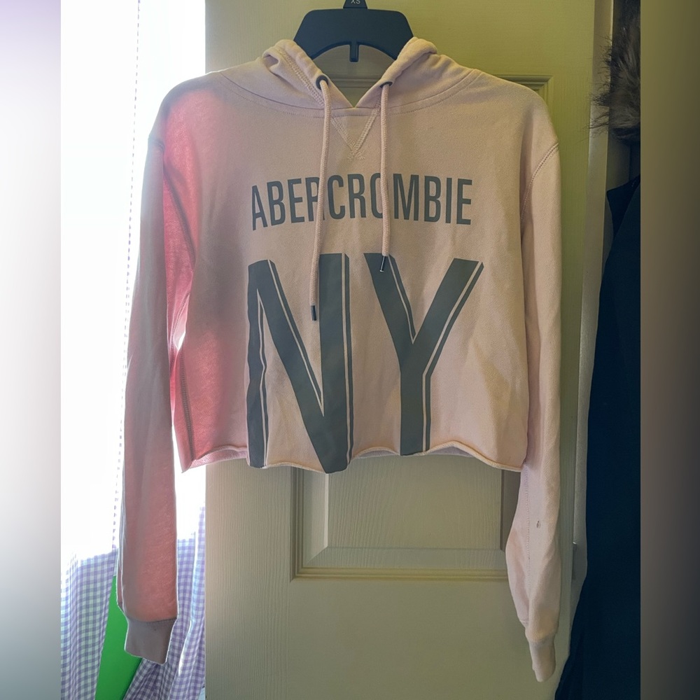 Abercrombie & Fitch Light Pink Cropped Hoodie - Picture 1 of 3
